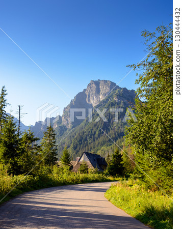 landscape with road path among spruce trees in high tatra mountains. forest nature environment of poland on a summer morning 130444432