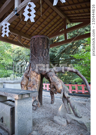 稻荷神社 伏見稻荷大社 根松（日松） 3 130444616
