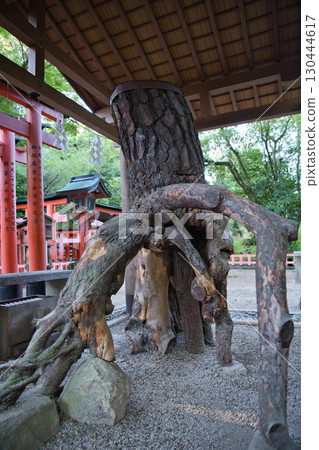 稻荷神社伏見稻荷大社根松（日松）4 130444617