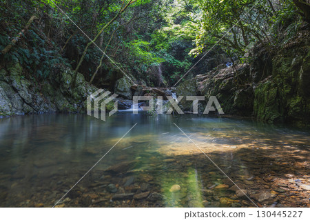 濱松市千巖瀑布的風景(靜岡縣) 濱松市千巖瀑布的風景(靜岡縣) 130445227