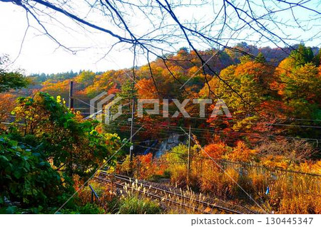 重城山 紅葉川溪谷 紅葉 黃葉 富士花瀑布 重城山 紅葉川溪谷 紅葉 黃葉 富士花瀑布 130445347