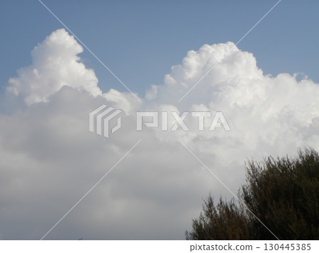 八月的稻毛海濱公園，白雲藍天 130445385