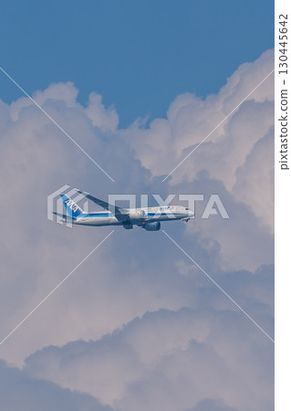 An ANA plane gracefully flies with cumulonimbus clouds in the background An ANA plane gracefully flies with cumulonimbus clouds in the background 130445642