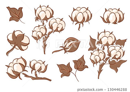 Flat style illustration set of cotton plant with fluffy boll and leaf isolated on white background. Agriculture collection textile and natural fiber concept. Flat style illustration set of cotton plant with fluffy boll and leaf isolated on white background. Agriculture collection textile and natural fiber concept. 130446288