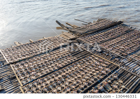 Drying fish on traditional floating house, Lake Tempe, Indonesia 130446331