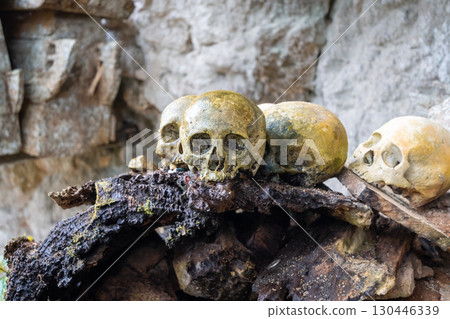 Human skulls in a Toraja funeral cave, Sulawesi, Indonesia Human skulls in a Toraja funeral cave, Sulawesi, Indonesia 130446339