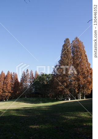 Sa玉縣久喜市久喜壽部公園的風景 130446352