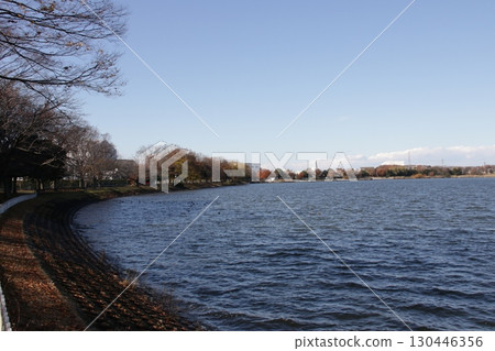 Scenery of Kuki Shobu Park in Kuki City, Saitama Prefecture 130446356