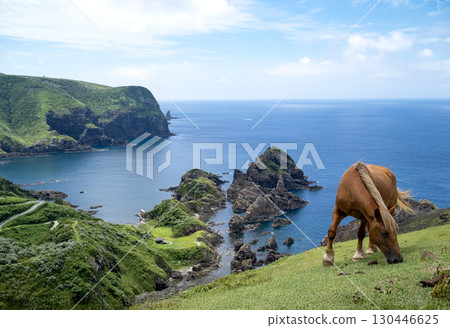 隱岐群島西之島國賀海岸的景色。野馬正在吃草。 130446625