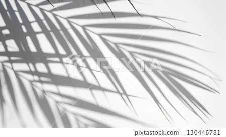White background with shadow of palm leafs. background concept White background with shadow of palm leafs. background concept 130446781