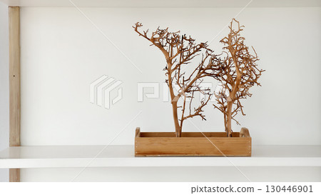 Minimal dried tree decoration in wooden box on white shelf 130446901