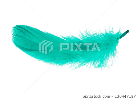 Colored goose feathers. Large bird feathers Colored goose feathers. Large bird feathers 130447187