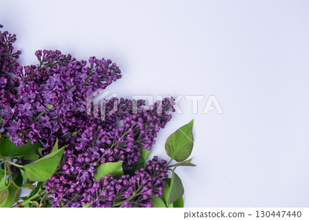 Branch of beautiful lilac flowers on monochrome surface 130447440