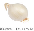 White onion bulb isolated on white background. 130447918