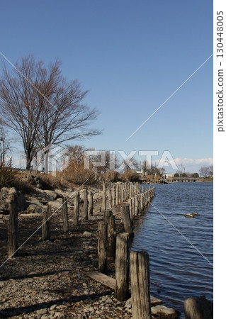Scenery of Kiriyama swamp in Shiraoka City, Saitama Prefecture 130448005