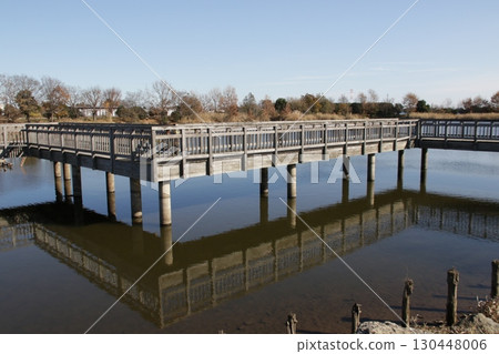 Scenery of Kiriyama swamp in Shiraoka City, Saitama Prefecture 130448006