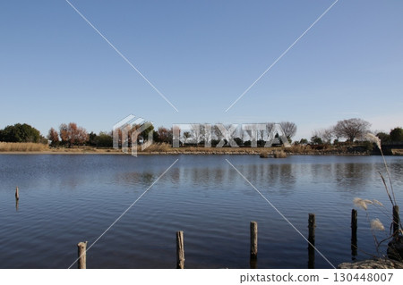 Scenery of Kiriyama swamp in Shiraoka City, Saitama Prefecture Scenery of Kiriyama swamp in Shiraoka City, Saitama Prefecture 130448007