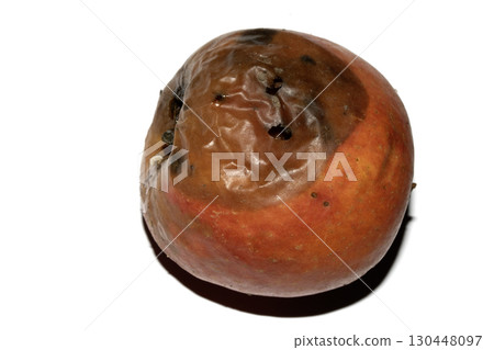 A rotten mouldy red apple that is spoiled and needs to be composted on white background A rotten mouldy red apple that is spoiled and needs to be composted on white background 130448097