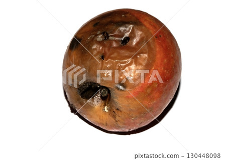 A rotten mouldy red apple that is spoiled and needs to be composted on white background A rotten mouldy red apple that is spoiled and needs to be composted on white background 130448098