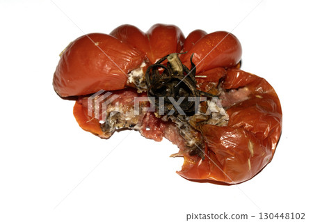Very mouldy and squashed tomato spoiled and decomposing on white background Very mouldy and squashed tomato spoiled and decomposing on white background 130448102