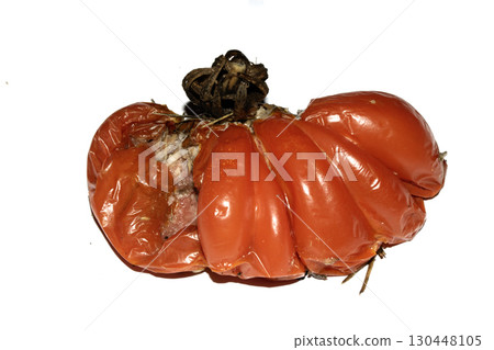 Very mouldy and squashed tomato spoiled and decomposing on white background Very mouldy and squashed tomato spoiled and decomposing on white background 130448105