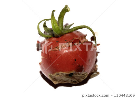 Very mouldy and squashed tomato spoiled and decomposing on white background 130448109