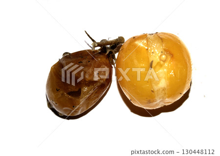 Very mouldy and squashed tomato spoiled and decomposing on white background 130448112