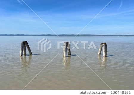 Old Wooden Posts in Calm Lake with Blue Sky Horizon of Neusiedler See in Austria 130448151