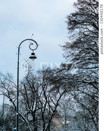 Elegant street lamp with curved design stands tall against backdrop of snow covered trees, creating serene and picturesque winter urban landscape. Street lamp arches gracefully beside snow laden trees 130448176