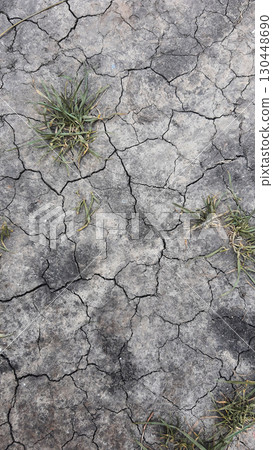 Dried cracked earth with sparse grass growth in a sunlit area Dried cracked earth with sparse grass growth in a sunlit area 130448690