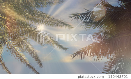 Bright sunlight filters through palm leaves on a clear sky day at the beach 130448701