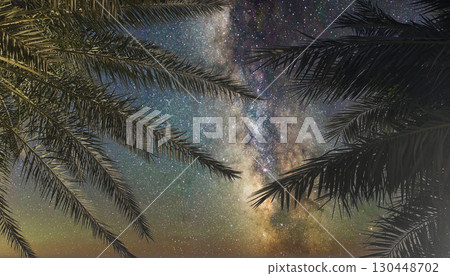 Night sky over tropical palm trees reveals a stunning view of the Milky Way galaxy Night sky over tropical palm trees reveals a stunning view of the Milky Way galaxy 130448702