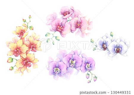Watercolor orchid flower set. Hand-painted vibrant floral illustration. Elegant petals and buds. Perfect for floral design, cards, fabric prints, stationary 130449331