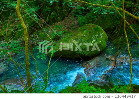 Strange rock formations (Pufferfish Rocks) in Nishizawa Valley, Yamanashi City, Yamanashi Prefecture in summer 130449417