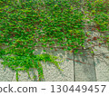大阪城內常春藤覆蓋的牆壁 130449457