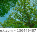 大阪城內新綠的樹木與藍天的風景 130449467