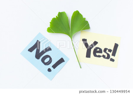Yes and No written on paper and leaves Yes and No written on paper and leaves 130449954