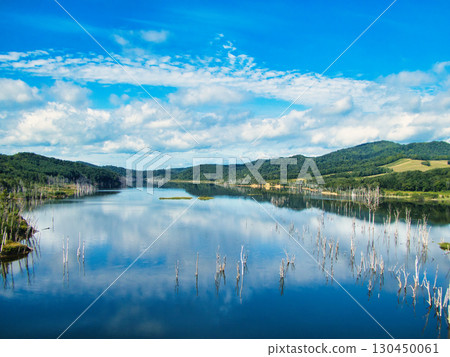 Midsummer landscape 130450061