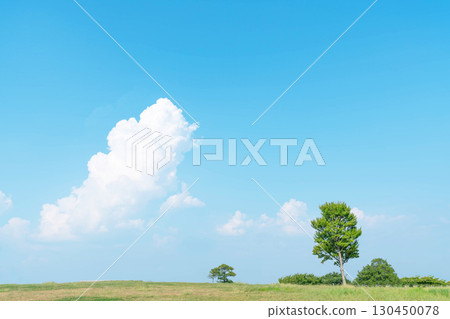 藍天和雲彩和大草原 藍天和雲彩和大草原 130450078