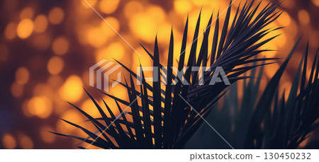palm silhouette in sunset light 130450232