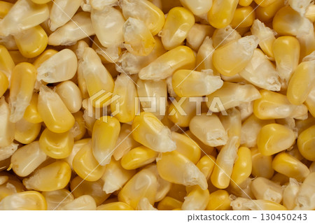 Fresh Raw Corn Kernels Macro Top View Texture 130450243