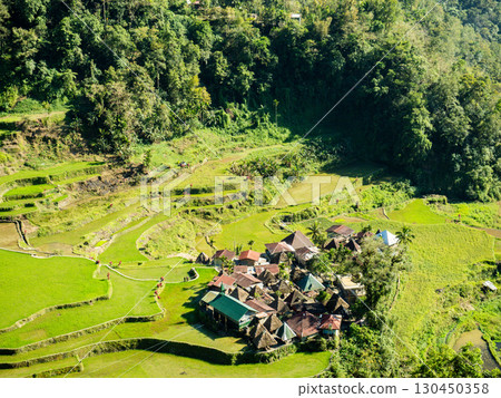 菲律賓巴拿威 130450358