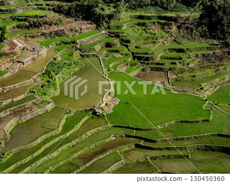 菲律賓巴拿威 130450360