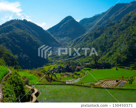 Banaue, Philippines 130450371