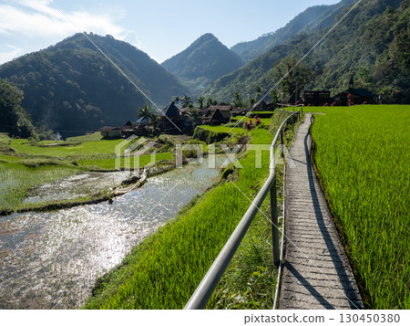 菲律賓巴拿威 130450380