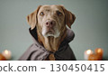 Elderly dog wearing halloween costume with candles in background 130450415