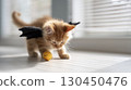 Adorable kitten with bat wings playing with smiley ball in sunlit room 130450476