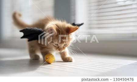 Adorable kitten with bat wings playing with smiley ball in sunlit room Adorable kitten with bat wings playing with smiley ball in sunlit room 130450476