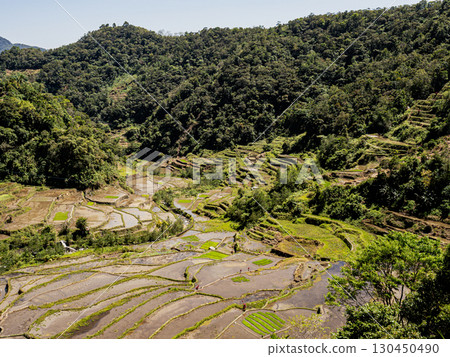 Banaue, Philippines 130450490