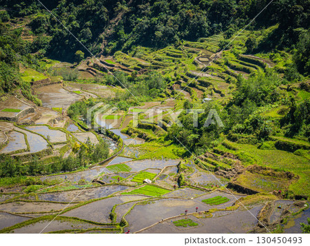 Banaue, Philippines 130450493